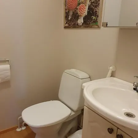 Jaeaeskaen Loma Ratatie 3 Asunto 7, Apartment
