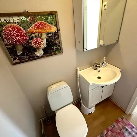 Apartmán Jaeaeskaen Loma Ratatie 3 Asunto 7,